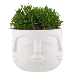 Butlers ARTIST Blumentopf 4er-Set Clearance