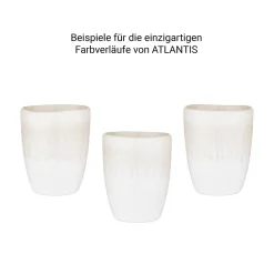 Butlers ATLANTIS Tasse 4er-Set Best