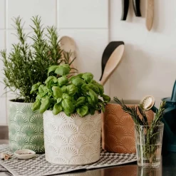 Butlers BLOOMY Blumentopf 6er-Set Online