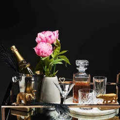 Butlers CRYSTAL CLUB Karaffe Clearance