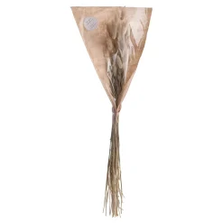 Butlers FLOWER MARKET Trockenblumen Lagurusgras Best