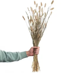 Butlers FLOWER MARKET Trockenblumen Lagurusgras Best