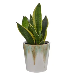 Butlers GRADIENT Blumenübertopf