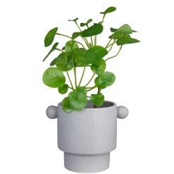 Butlers HANDLE Blumenübertopf New