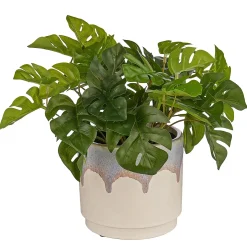 Butlers PAINTED Blumenübertopf Discount