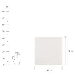 Butlers RIGA Serviette New