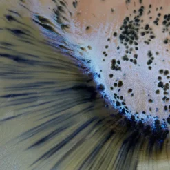 Butlers SINTRA Salatschale Clearance