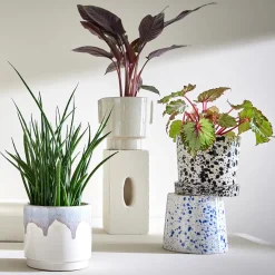 Butlers SPLASH Blumenübertopf mit Teller Discount