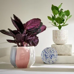 Butlers SPOT Blumenübertopf 2er-Set Best